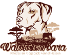 watoto wa bara Logo